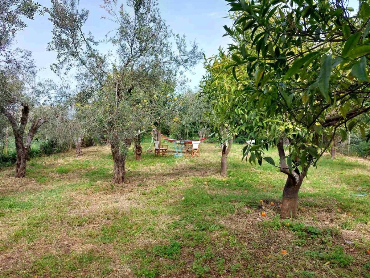 Citrus Tree Garden House Villa Kamisiana Exterior photo