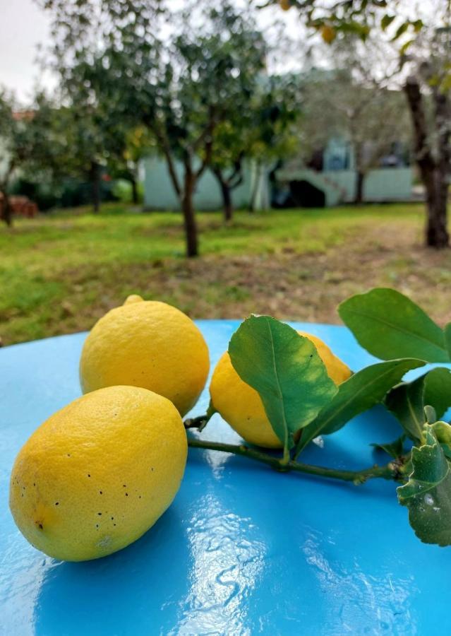 Citrus Tree Garden House Villa Kamisiana Exterior photo