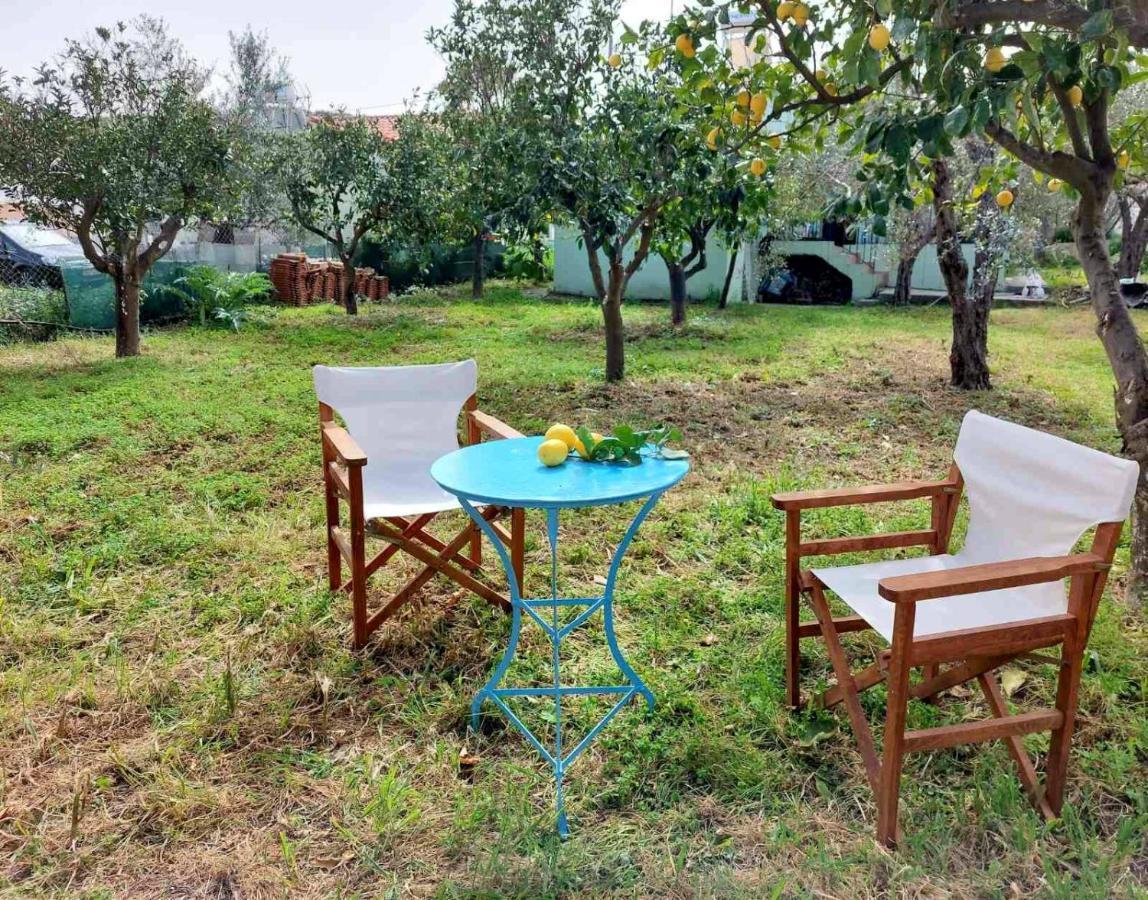 Citrus Tree Garden House Villa Kamisiana Exterior photo